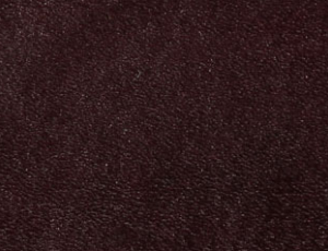 Croute Burgundy